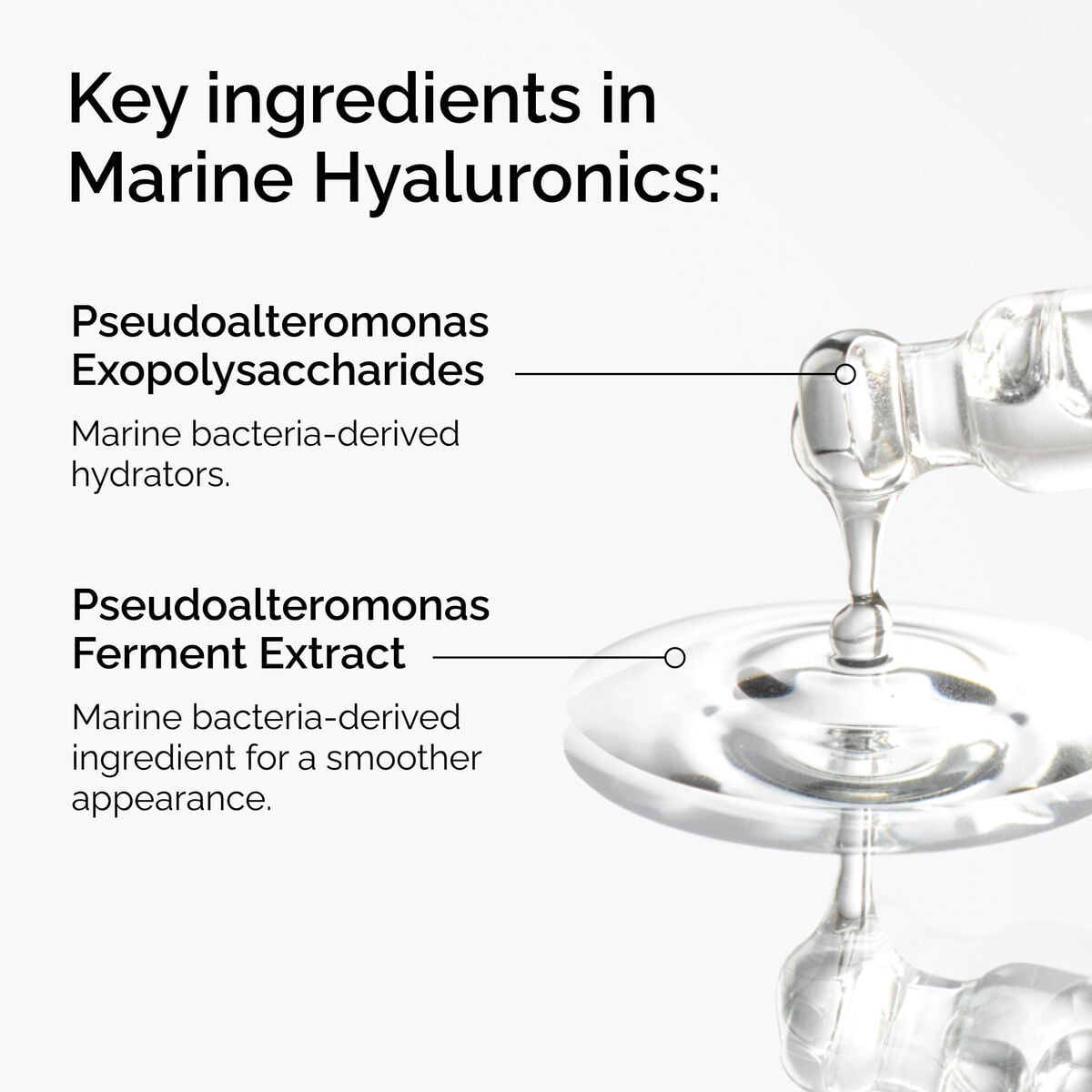 marine-hyaluronics-k4 FY25-D41247-ORD-Web-PDP-Marine-Hya-1x1-EN-2a.jpg