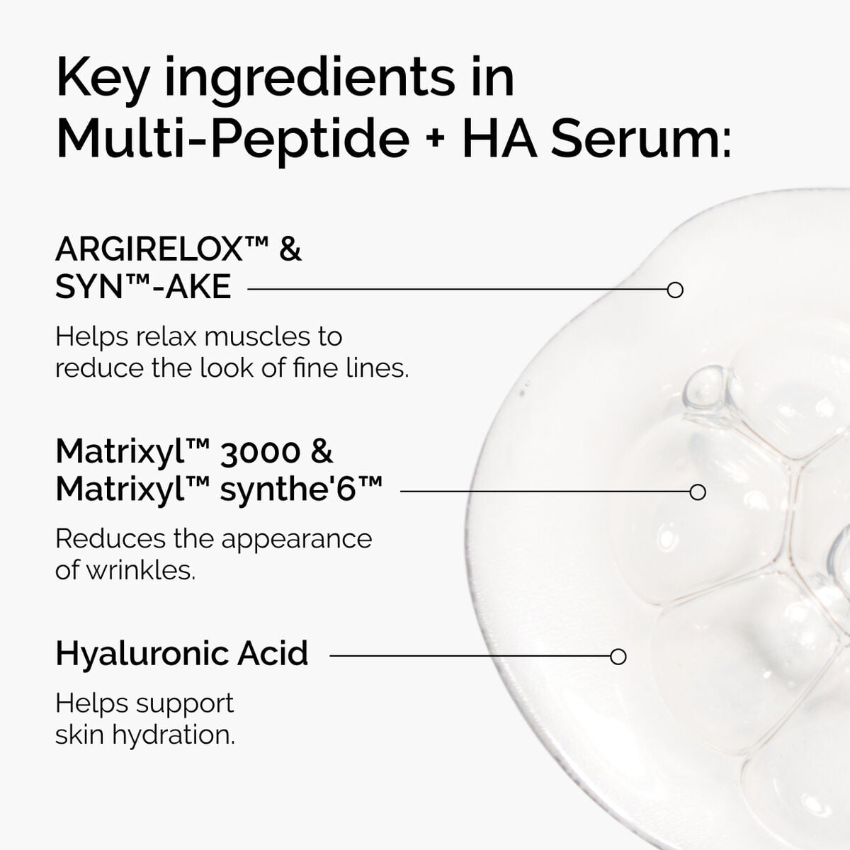 the-age-support-set-o8 ord-multi-peptide-ha-ingredients-graphic.jpg